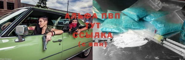хмурый Алзамай
