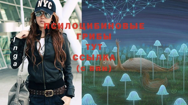 хмурый Алзамай
