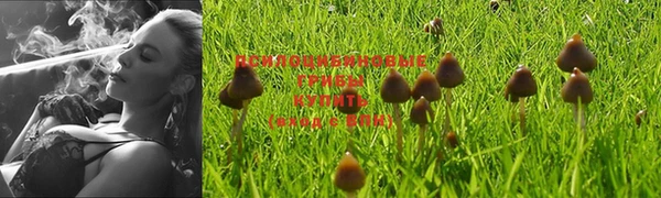 прущая мука Алексеевка
