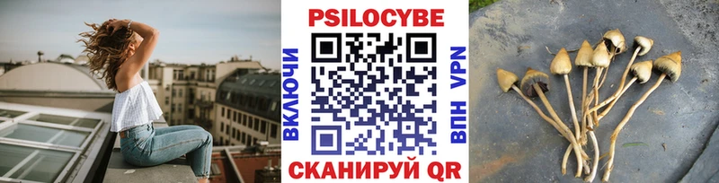 Галлюциногенные грибы Psilocybe  дарнет шоп  Лениногорск 